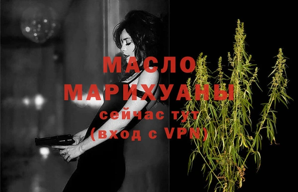 индика Надым